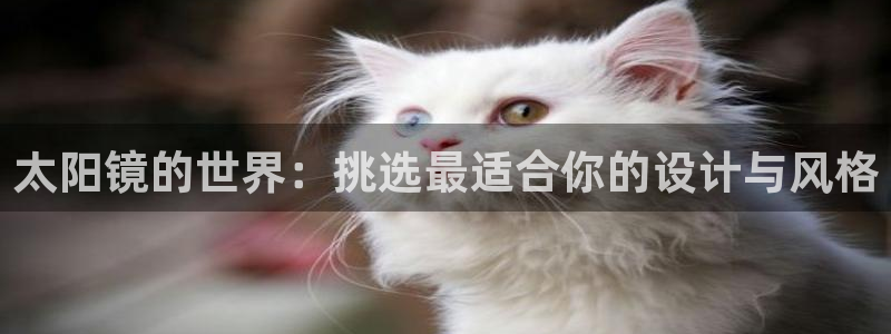 jdb168电子平台下载