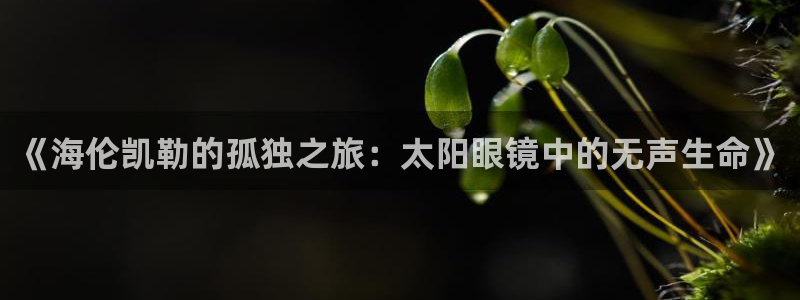 jdb试玩2000