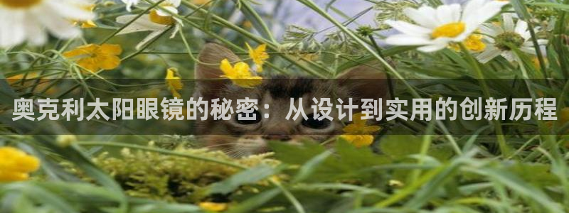 JDB电子维护