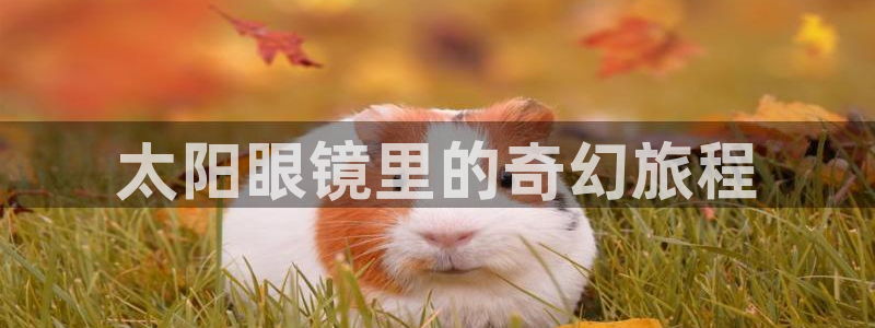 jdb电子平台入c77,tv