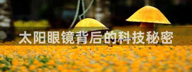 jdb_official_v1.9.0.apk