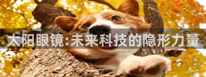 jdb电子游戏坑人套路