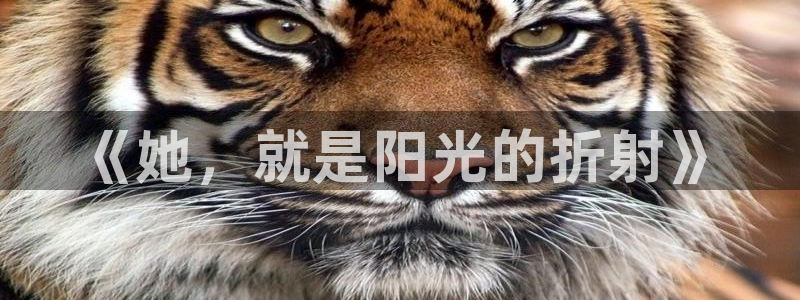 jdb电子平台入c77,tv