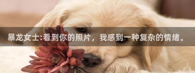 jdb电子麻将胡了