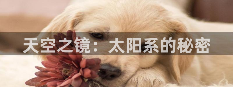 jdb电子官网暨ly79典cn