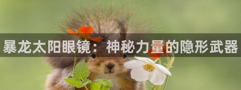 jdb五龙捕鱼平台尙11yb tv